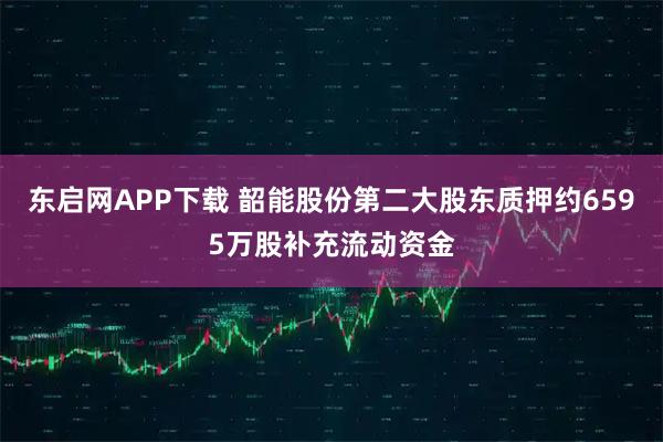 东启网APP下载 韶能股份第二大股东质押约6595万股补充流动资金