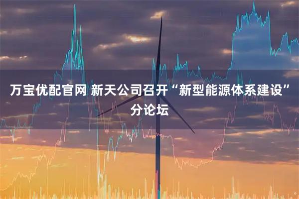 万宝优配官网 新天公司召开“新型能源体系建设”分论坛
